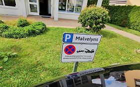 Malvelyns Am Bodensee